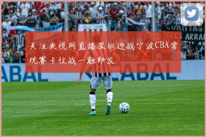 关注央视网直播深圳迎战宁波CBA常规赛卡位战一触即发